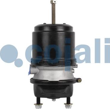 Cojali 2251537 - Spring-loaded Cylinder motal.fi