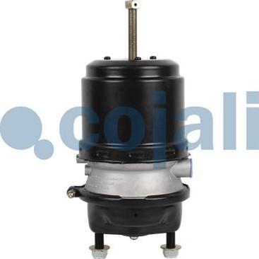 Cojali 2251537 - Spring-loaded Cylinder motal.fi