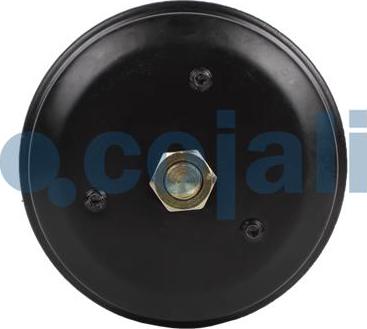 Cojali 2251537 - Spring-loaded Cylinder motal.fi