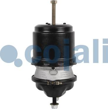 Cojali 2251537 - Spring-loaded Cylinder motal.fi