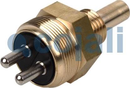 Cojali 2260402 - Sensor, coolant temperature motal.fi