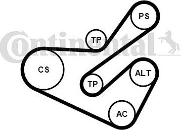 Contitech 6PK1740K1 - V-Ribbed Belt Set motal.fi