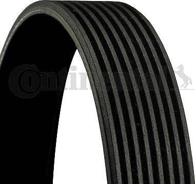 Contitech 8 PK 1635 - V-Ribbed Belt motal.fi