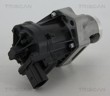 Triscan 8813 10006 - EGR Valve motal.fi