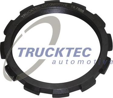 Trucktec Automotive 01.32.196 - Nut, stub axle motal.fi