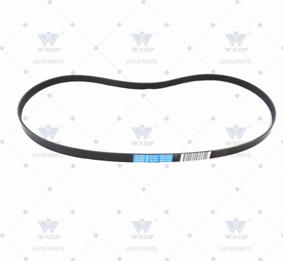 WXQP 181569 - V-Ribbed Belt motal.fi