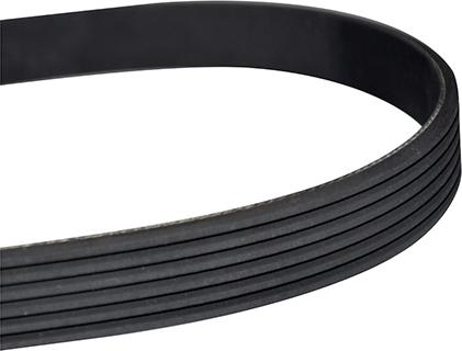 WXQP 313977 - V-Ribbed Belt motal.fi