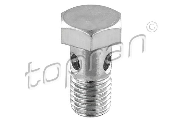 Turbocharger oil hose screw (x30)