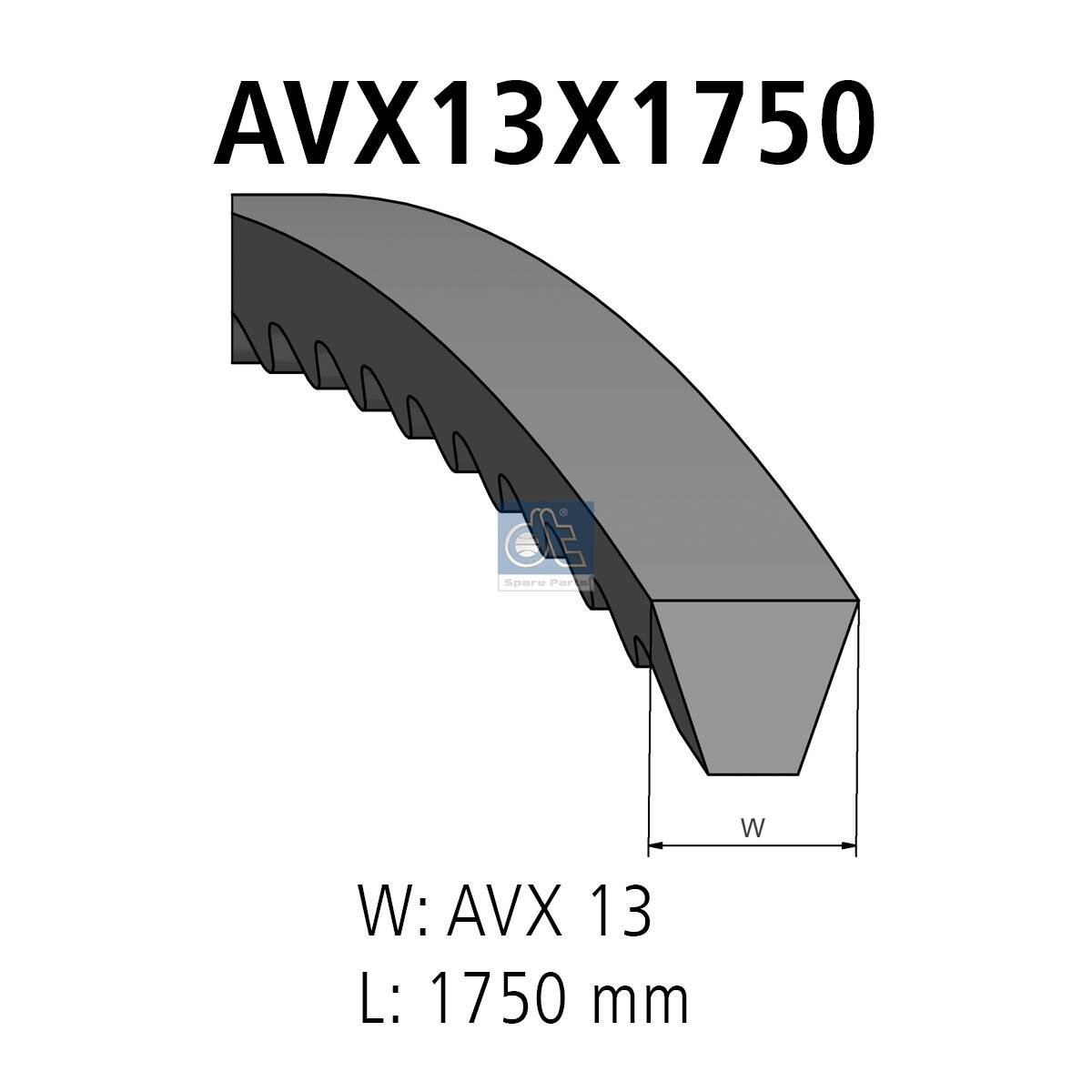 V-Belt (13x1750mm) fits: DAF F 2800; IVECO EUROCARGO I-III, MAGIRUS; MERCEDES O 405; SCANIA 2, 3 01.74- - Image 3